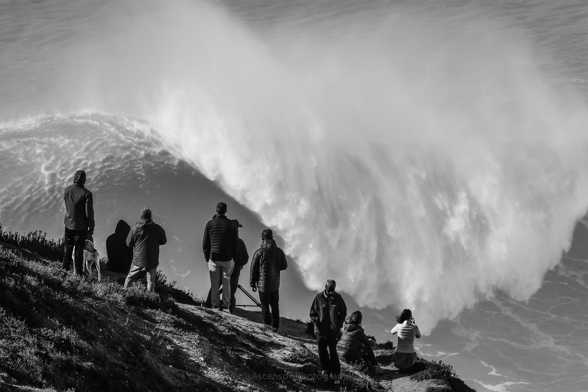 People watch a huge wave from a cliff in Nazaré, Portugal